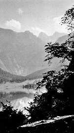 Bergblick Bergblick