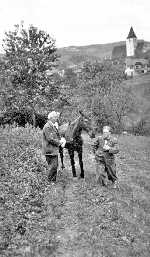Spaziergang mit Pferd Spaziergang mit Pferd
