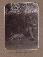 Ein Grenzbock Ein Grenzbock