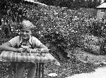 Junge im Garten Junge im Garten
