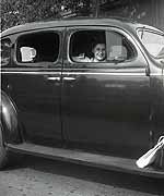 Frau im Auto Frau im Auto